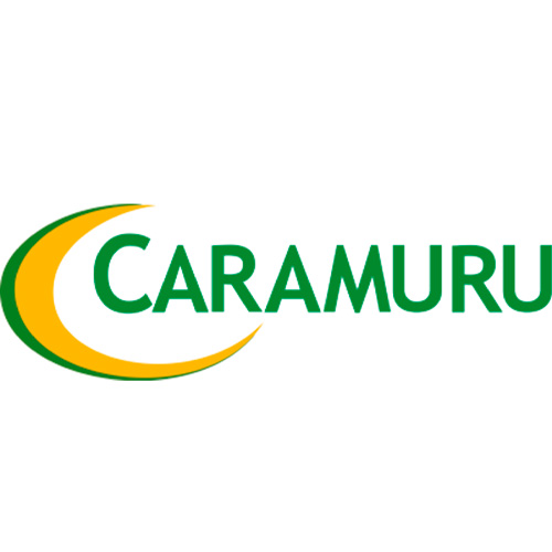 Caramuru